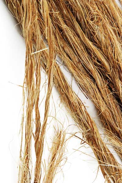 hemp fiber